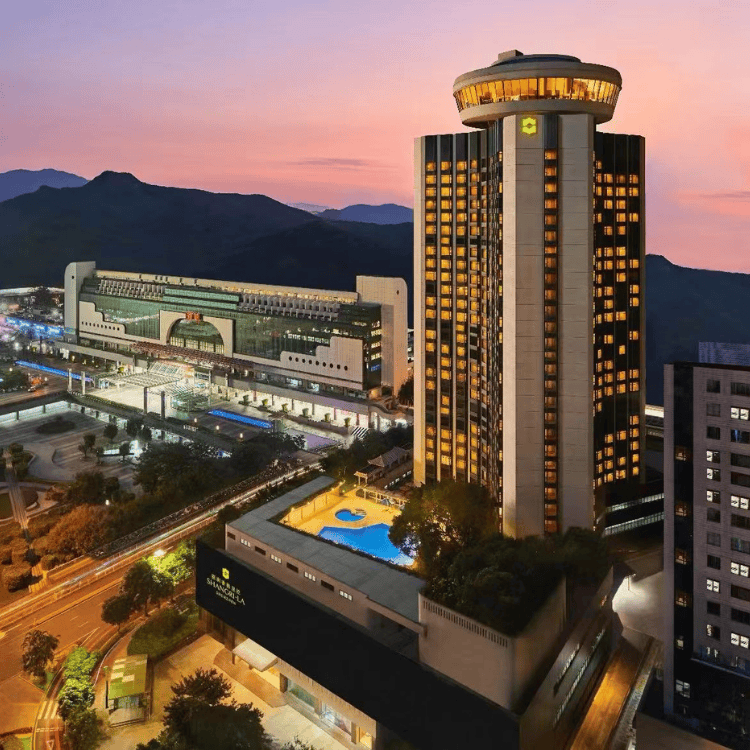 売上実績NO.1 Luxury Hotel Shenzhen Shangri-La | Shenzhen in 陶芸